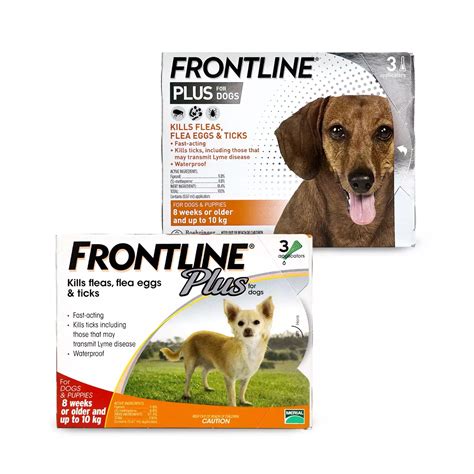 Is frontline safe for dogs. Things To Know About Is frontline safe for dogs. 